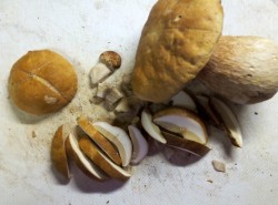 Маринованные белые грибы на зиму